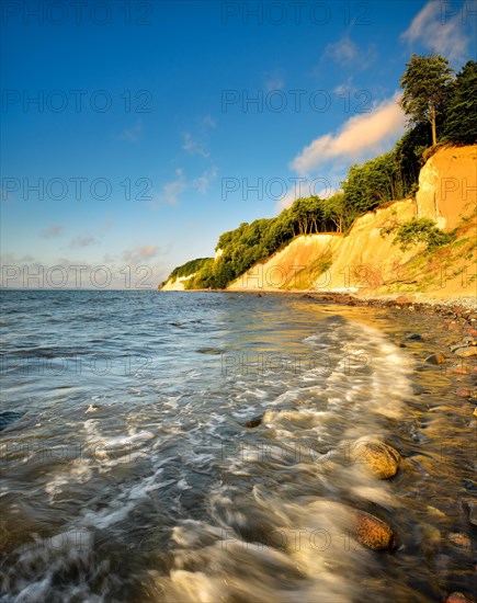 Chalk cliffs on the Baltic Sea in the morning light