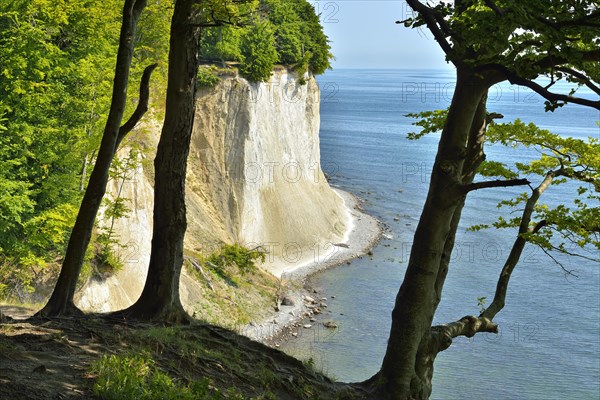 View from the high shore path to the chalk cliffs at the Baltic Sea