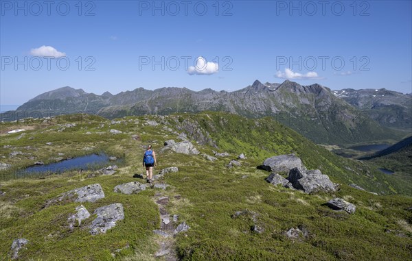 Hiker on the trail to the mountain Rundfjellet