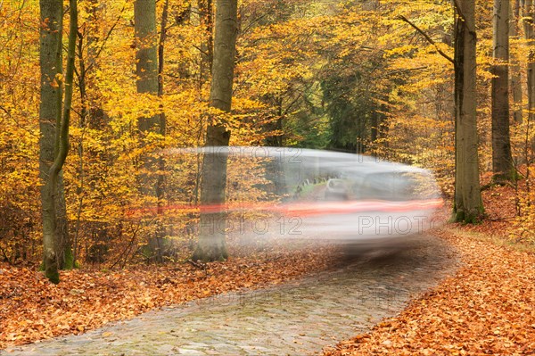 Car driving on narrow cobblestone road through forest in autumn