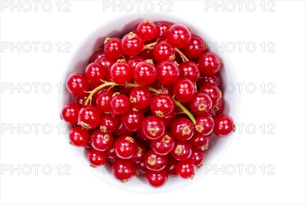 Red currants berries from above crop against a white background