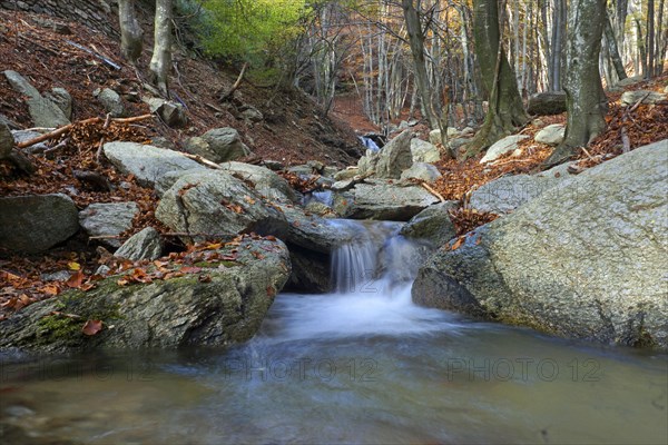 Cascades of a stream in autumn forest on the ascent to Monte Lema