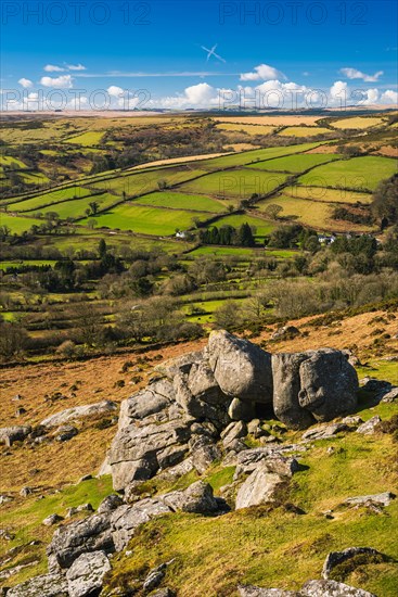 Fields and meadows in Haytor Rocks