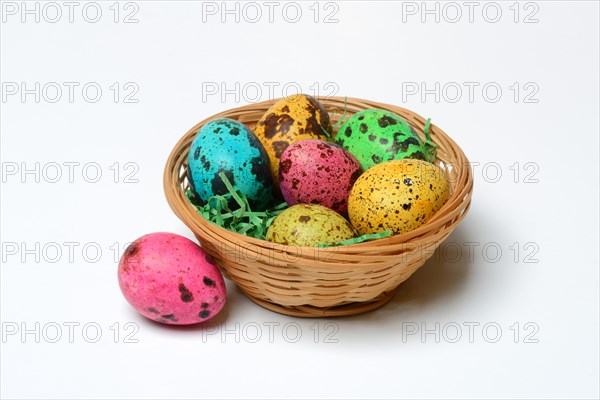 Coloured quail eggs in baskets