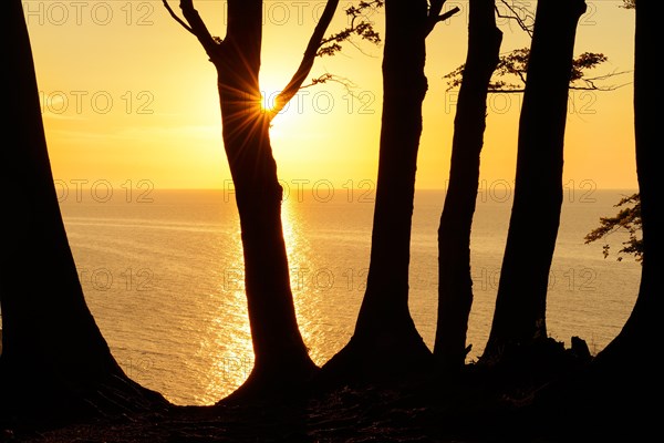 Sunrise at the high shore path above the chalk cliffs