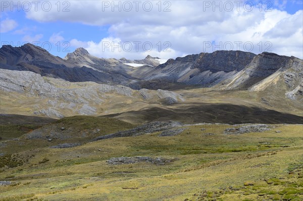 Landscape of the Andes at 4800 MueM