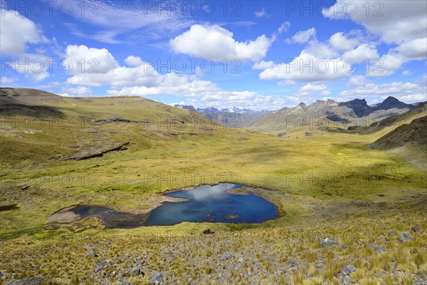 Lagoon in the Andes at 4800 MueM