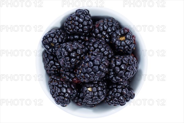 Blackberries berries from above crop against a white background
