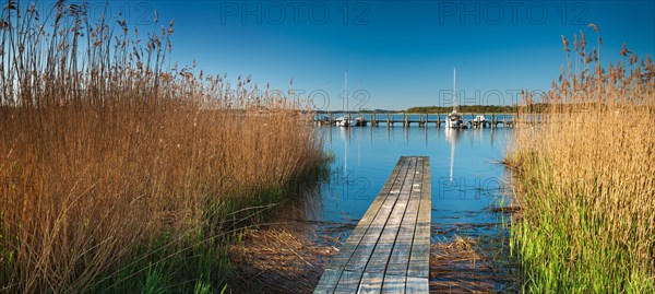 Small jetty in the reeds at Selliner See