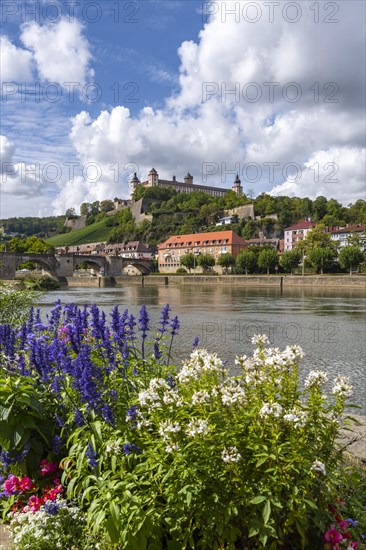 Marienberg Fortress on the Main