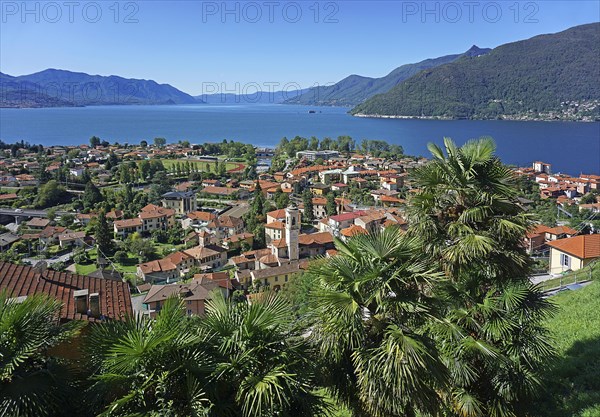 Panorama over Maccagno and Lake Maggiore