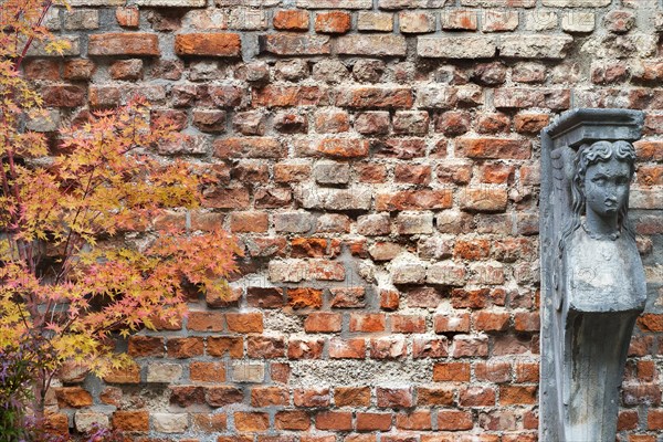 Brick wall with caryatid and fan maple