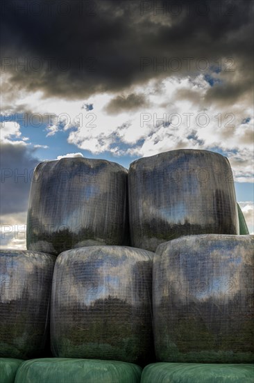Plastic wrapped bales of straw
