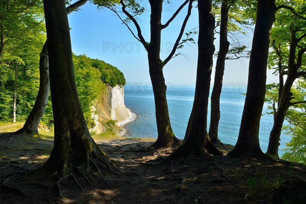 View from the high shore path to the chalk cliffs at the Baltic Sea