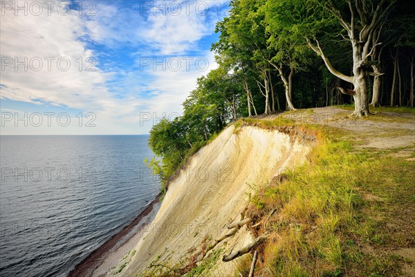 View from the Hochuferweg to the chalk cliffs at the Baltic Sea