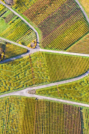 Vineyards wine in autumn nature season aerial view from above in Stuttgart