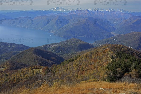 View from Monte Lema on Lake Maggiore with the Monte Rosa massif in the distance