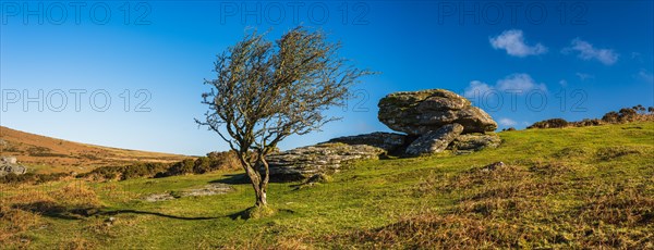 Haytor Rocks