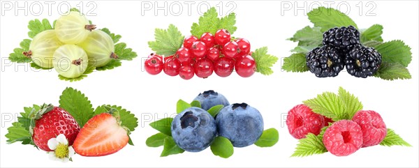 Collection berries strawberries blueberries raspberries red currants fruits isolated clipped against a white background