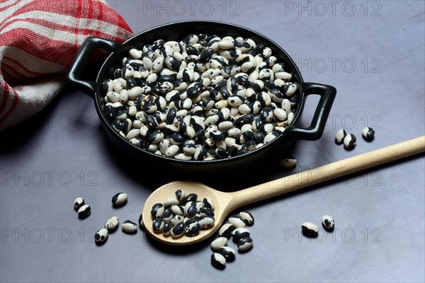 Dried bush beans in pot with cooking spoon