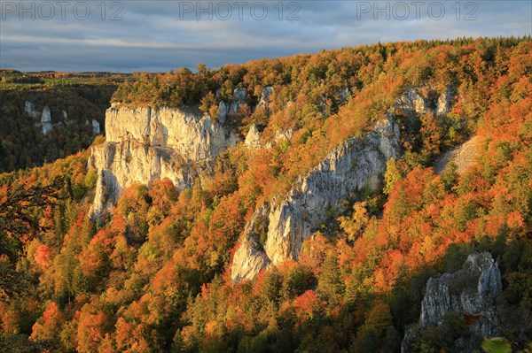 Limestone rock with mixed forest in autumn colours