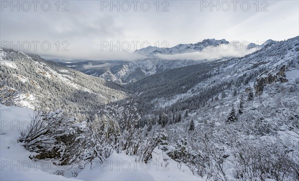 View over snowy valley towards Reintal