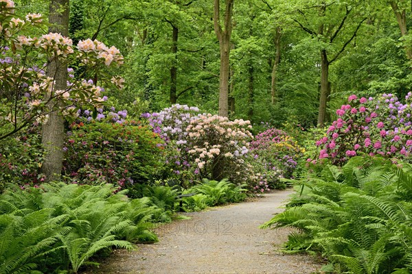 Rhododendron Park Bad Sassendorf