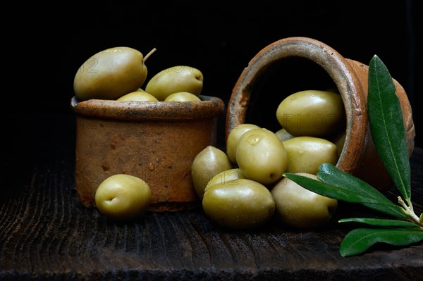 Greek olives from Chalkidiki in pots