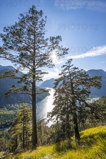 Hiking trail to Schoenjoechl