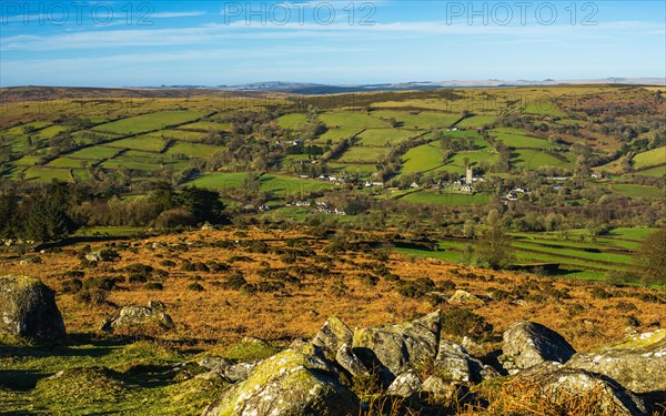 Fields and meadows in Haytor Rocks