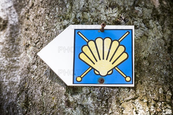 Pilgrim's shell as a signpost of the Via Regia