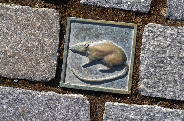 Paving stone with image of a rat