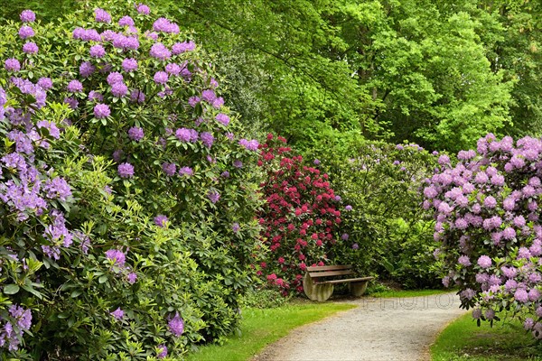 Rhododendron Park Bad Sassendorf