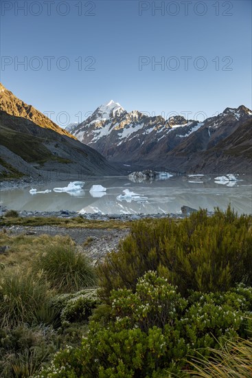 Mount Cook in morning light