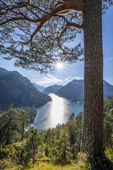 Hiking trail to Schoenjoechl