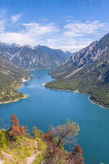 View of Lake Plansee