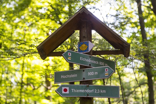 Signpost with pilgrim shell of the Via Regia