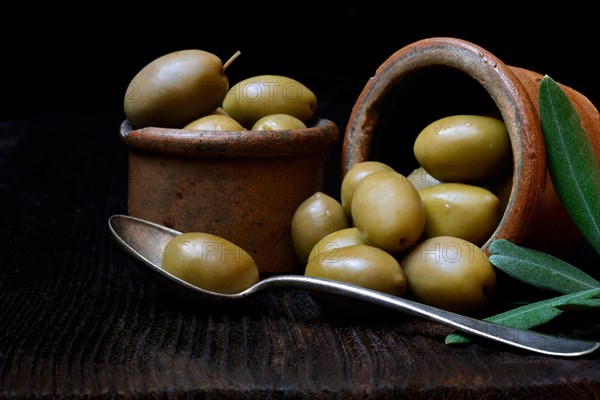 Greek olives from Chalkidiki in pots