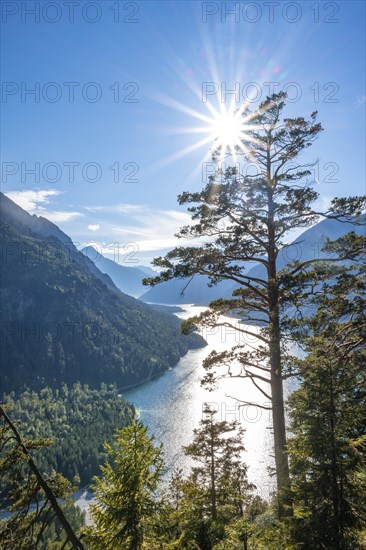 Hiking trail to Schoenjoechl