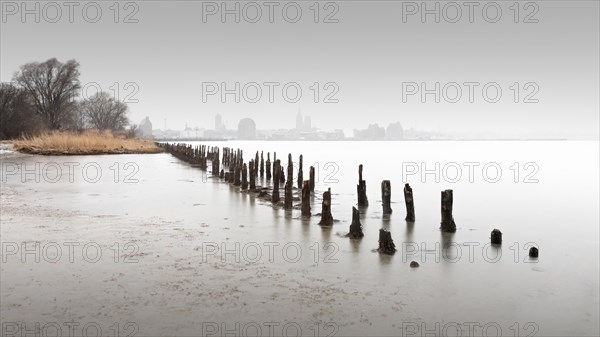 Old groynes on the island of Daenholm near Stralsund