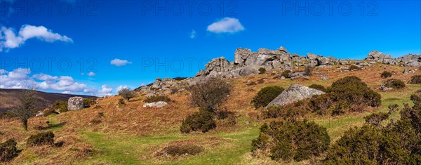 Fields and meadows in Haytor Rocks