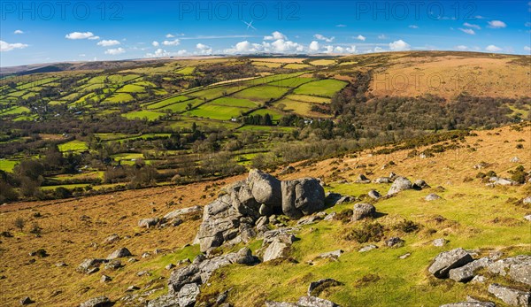 Fields and meadows in Haytor Rocks