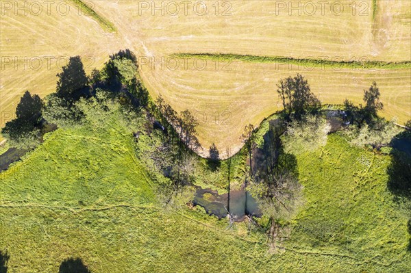 River Trubach from above