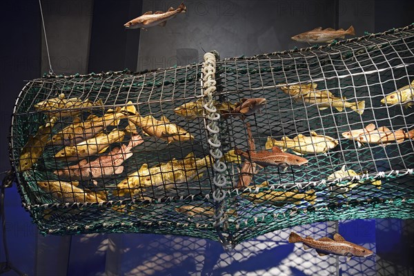 Schematic representation of a fish trap in the Ozeaneum