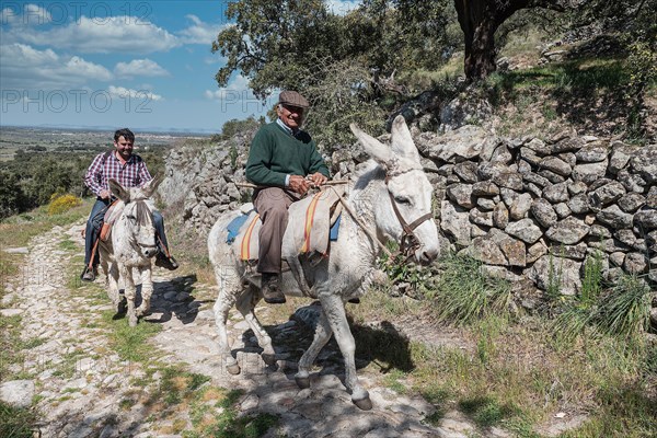 Spanish riders on mule