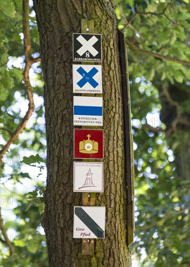 Hiking sign for themed hikes on a tree