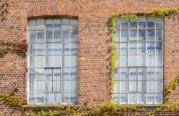 Brick facade with windows