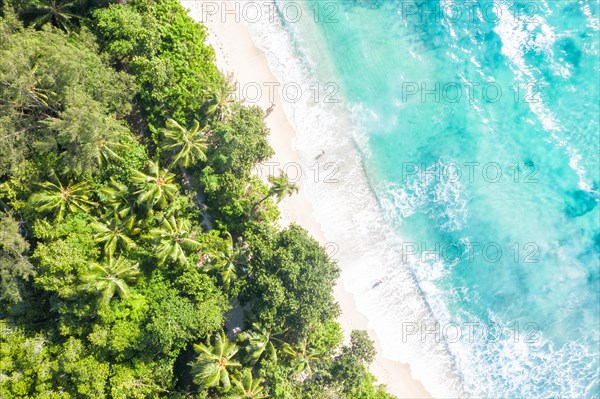 Takamaka beach drone shot bird's eye view