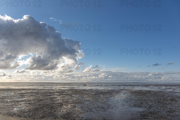 Beach at low tide