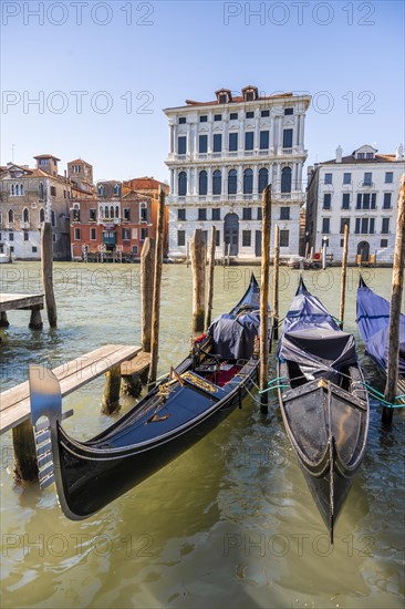 Gondolas on the Grand Canal